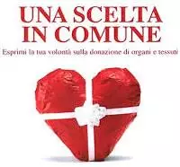 donazione-organi-e-tessuti-2024