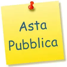 asta_pubblica_vendita_automezzi