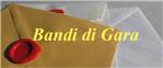 BANDO_AFFIDAMENTO_TESORERIA_RETTIFICA